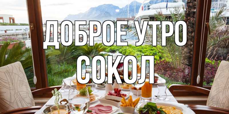 Картинка Доброе утро, Сокол
