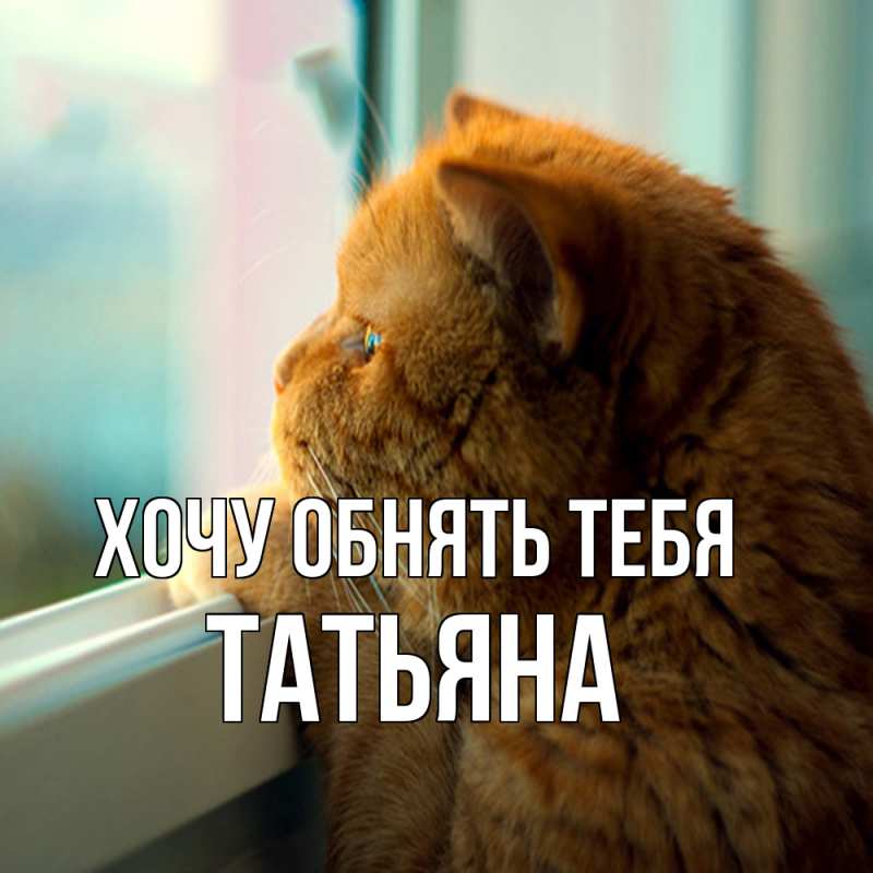 Картинка Хочу обнять тебя, Татьяна