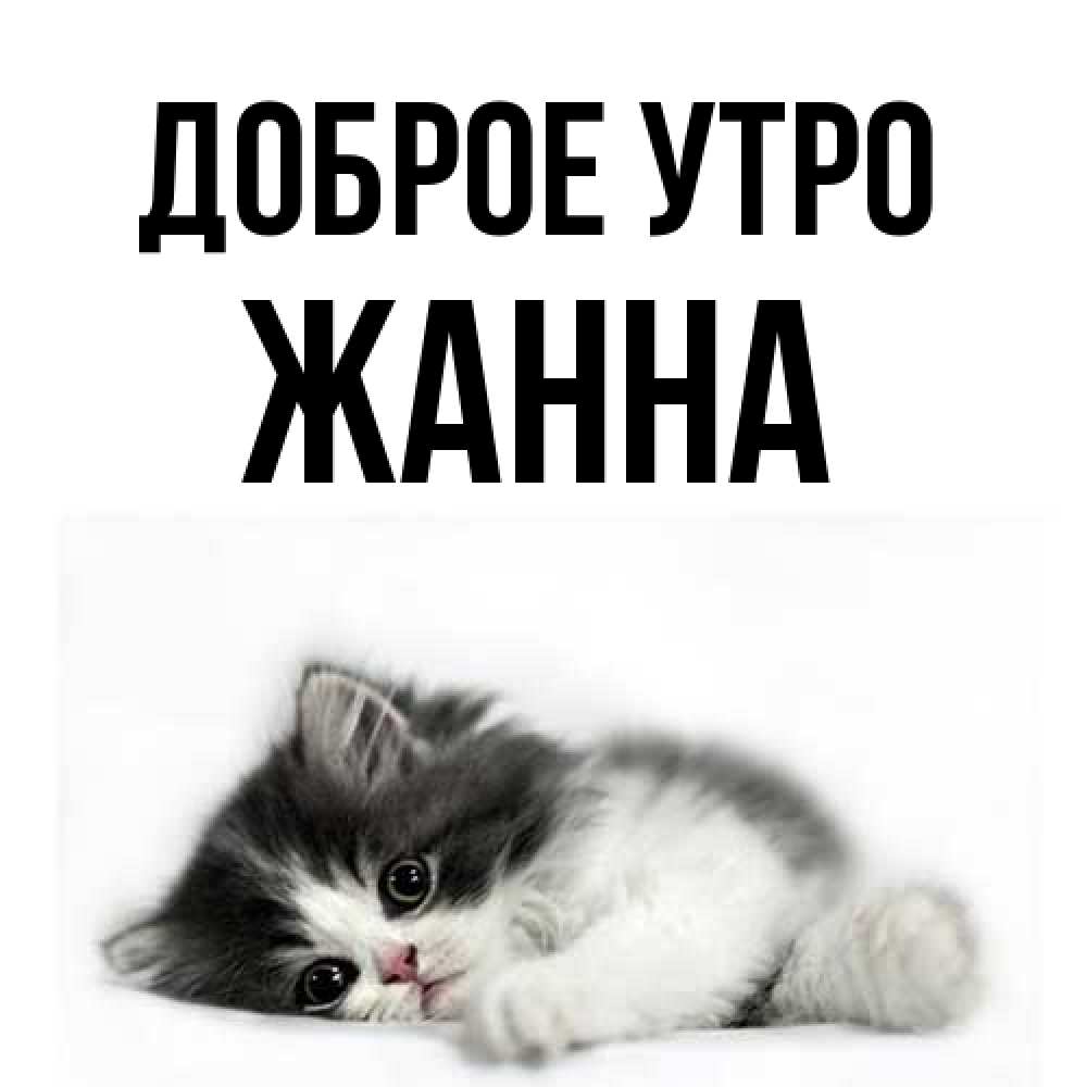 Открытка на каждый день с именем, Жанна Доброе утро кот лапки Прикольная открытка с пожеланием онлайн скачать бесплатно 