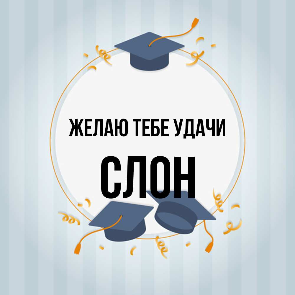 Открытка на каждый день с именем, Слон Желаю тебе удачи для студентов Прикольная открытка с пожеланием онлайн скачать бесплатно 