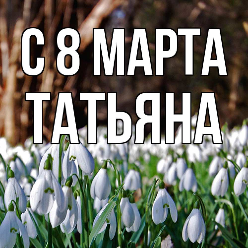 Открытка на каждый день с именем, Татьяна C 8 МАРТА с подснежниками 1 Прикольная открытка с пожеланием онлайн скачать бесплатно 