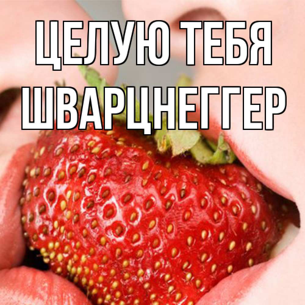 Открытка на каждый день с именем, Шварцнеггер Целую тебя поцелуйчик Прикольная открытка с пожеланием онлайн скачать бесплатно 
