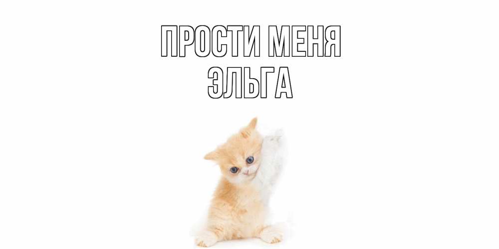 Открытка на каждый день с именем, Эльга Прости меня кот Прикольная открытка с пожеланием онлайн скачать бесплатно 
