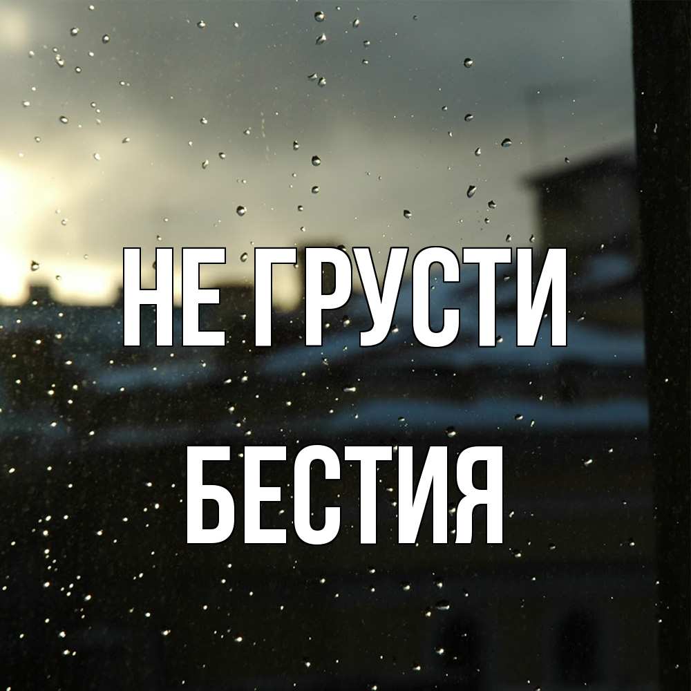 Открытка на каждый день с именем, Бестия Не грусти вид на крыши Прикольная открытка с пожеланием онлайн скачать бесплатно 