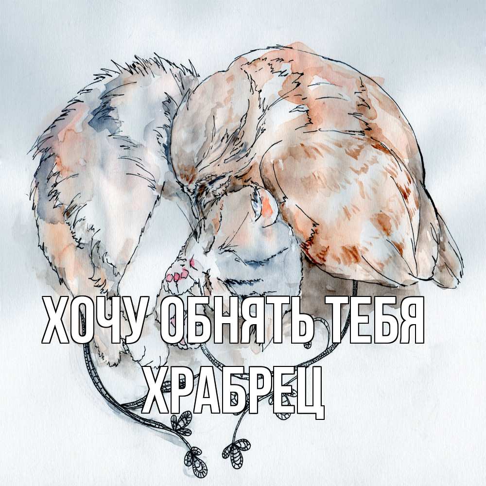 Открытка на каждый день с именем, Храбрец Хочу обнять тебя можно быть вместе даже когда очень разные Прикольная открытка с пожеланием онлайн скачать бесплатно 