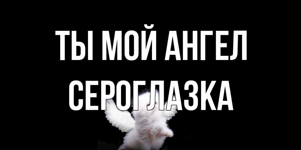 Открытка на каждый день с именем, сероглазка Ты мой ангел Кот ангел Прикольная открытка с пожеланием онлайн скачать бесплатно 