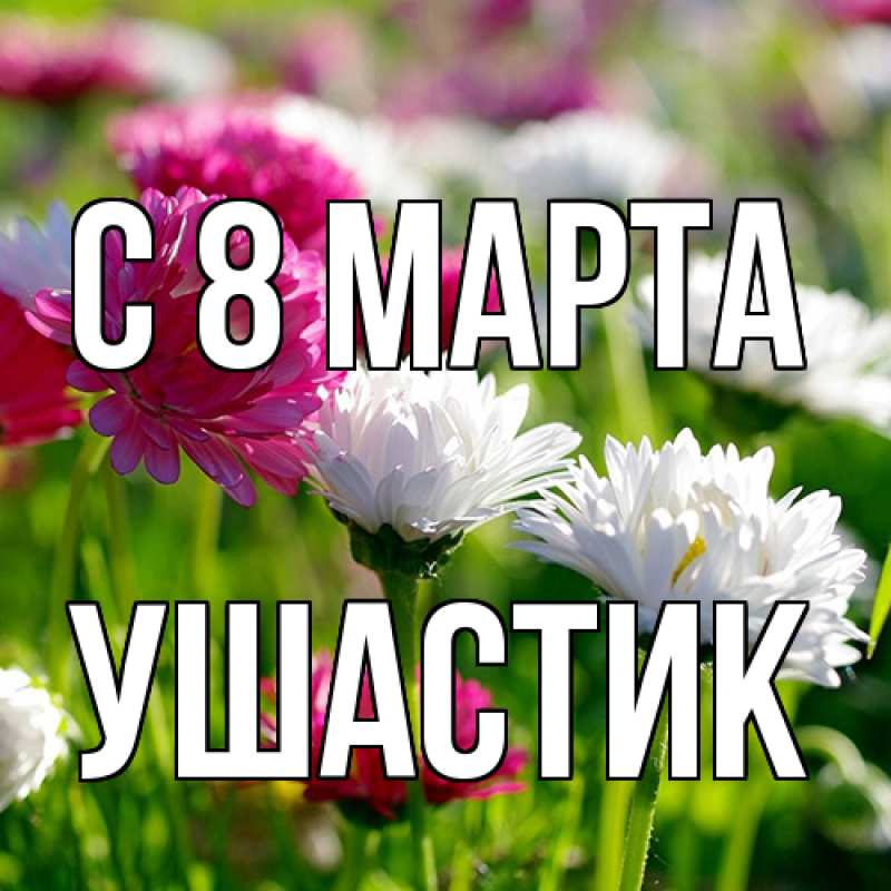 Картинка C 8 МАРТА, Ушастик
