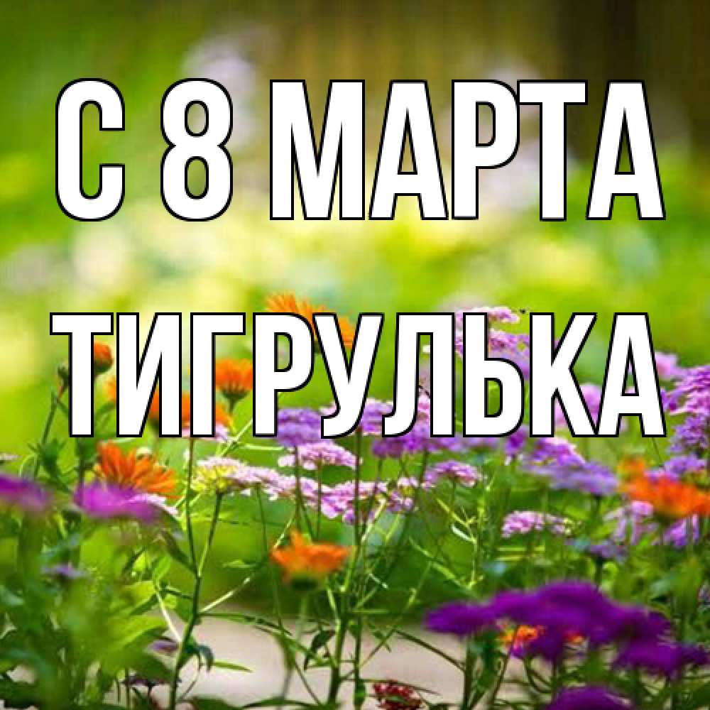 Открытка на каждый день с именем, тигрулька C 8 МАРТА цветы Прикольная открытка с пожеланием онлайн скачать бесплатно 