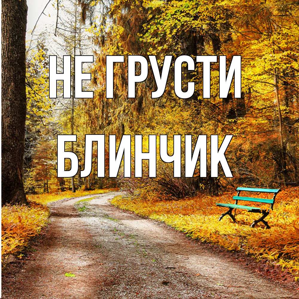 Открытка на каждый день с именем, Блинчик Не грусти зеленая лавочка Прикольная открытка с пожеланием онлайн скачать бесплатно 