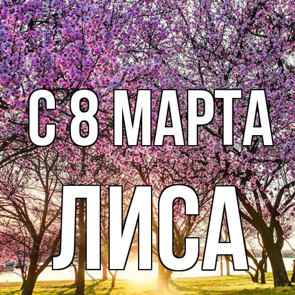 Открытка на каждый день с именем, лиса C 8 МАРТА международный женский день Прикольная открытка с пожеланием онлайн скачать бесплатно 