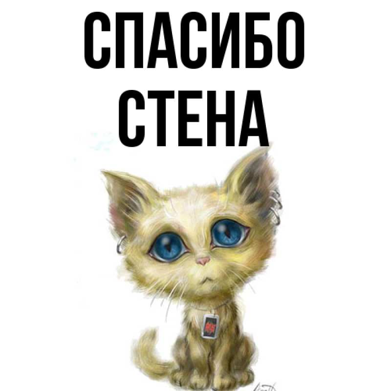 Картинка Спасибо, Стена