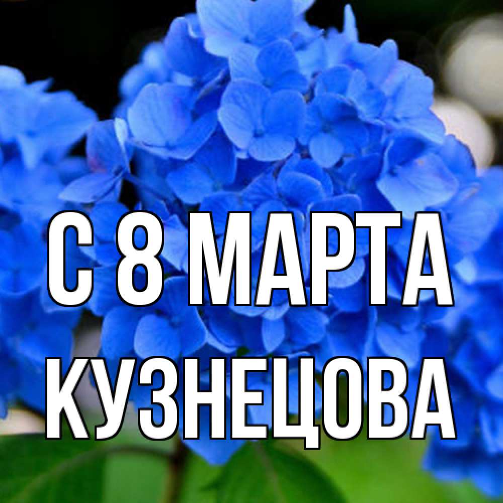 Открытка на каждый день с именем, Кузнецова C 8 МАРТА синие цветы Прикольная открытка с пожеланием онлайн скачать бесплатно 