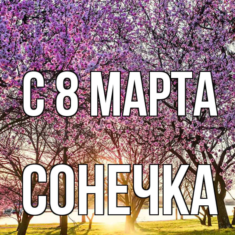 Открытка на каждый день с именем, Сонечка C 8 МАРТА международный женский день Прикольная открытка с пожеланием онлайн скачать бесплатно 