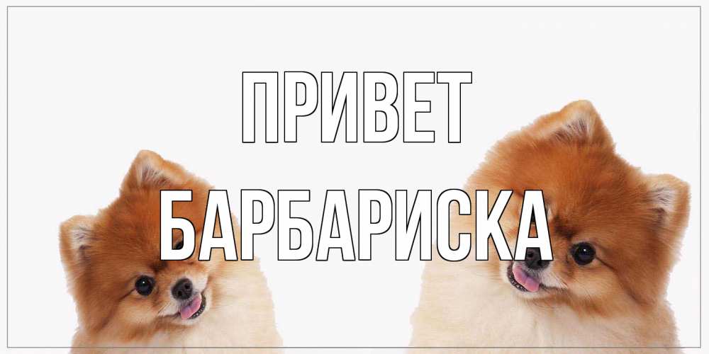 Открытка на каждый день с именем, барбариска Привет привет Прикольная открытка с пожеланием онлайн скачать бесплатно 