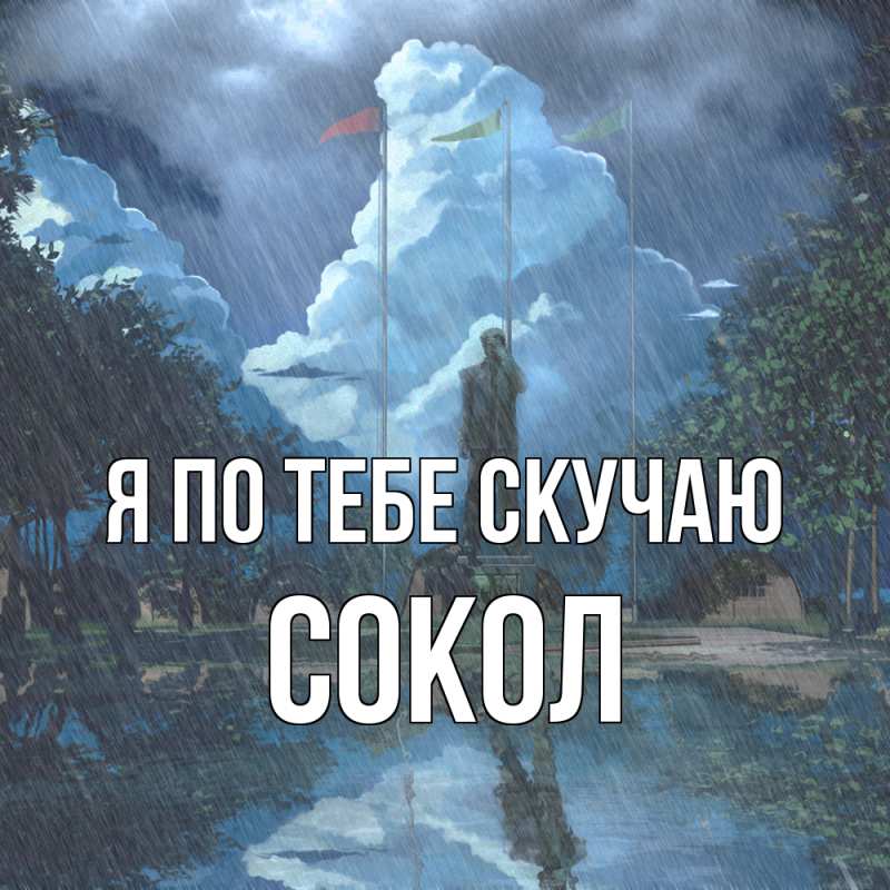 Картинка Я по тебе скучаю, Сокол