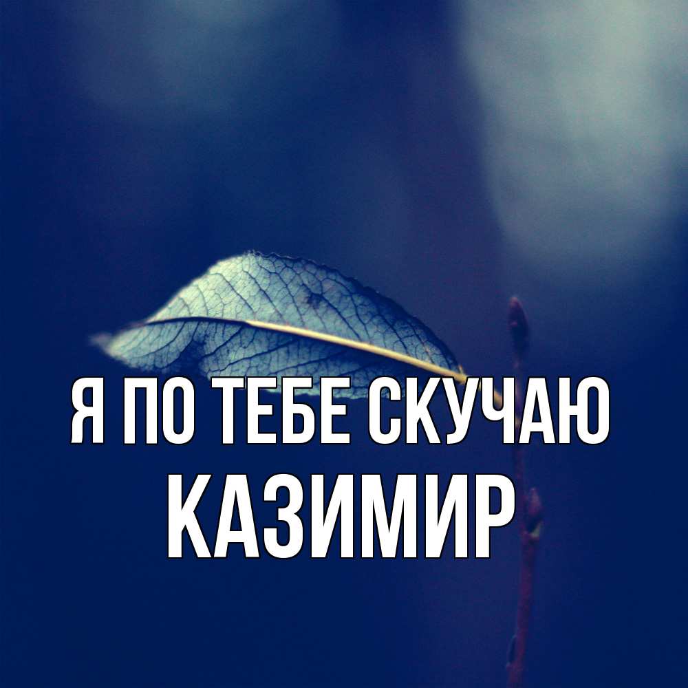 Открытка на каждый день с именем, Казимир Я по тебе скучаю одна ветка 1 Прикольная открытка с пожеланием онлайн скачать бесплатно 