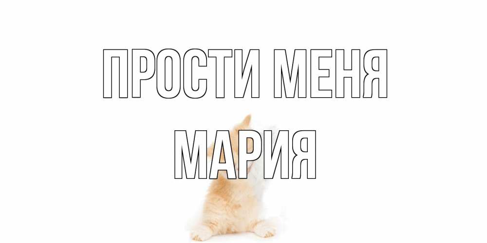 Открытка на каждый день с именем, Мария Прости меня кот Прикольная открытка с пожеланием онлайн скачать бесплатно 