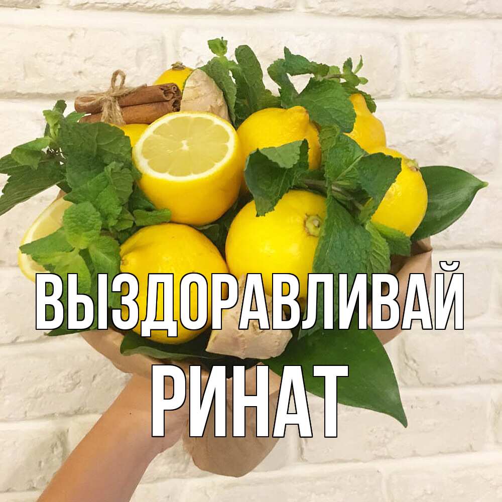 Открытка на каждый день с именем, Ринат Выздоравливай витамины Прикольная открытка с пожеланием онлайн скачать бесплатно 