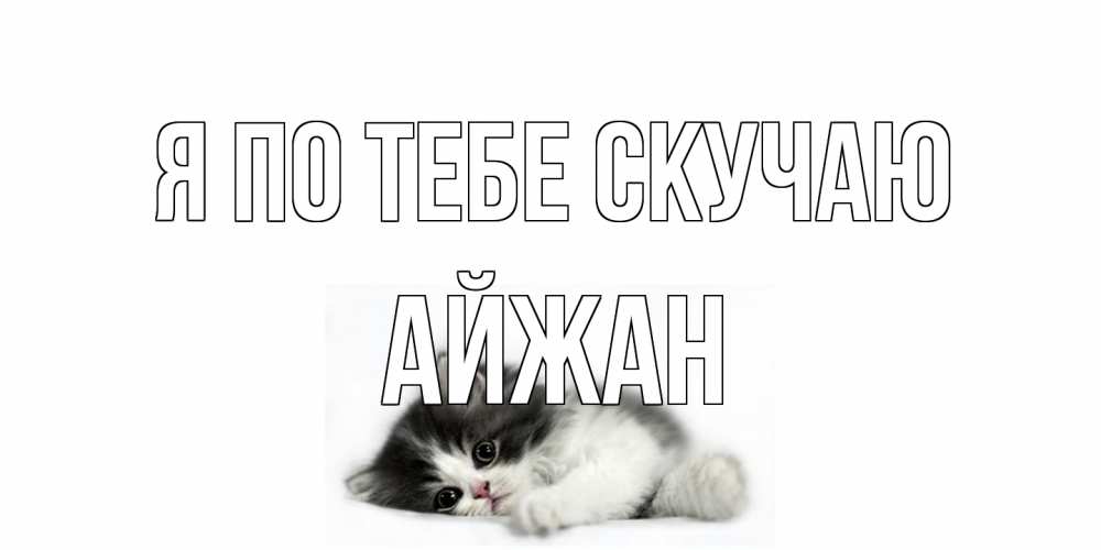 Открытка на каждый день с именем, Айжан Я по тебе скучаю кот, скука Прикольная открытка с пожеланием онлайн скачать бесплатно 