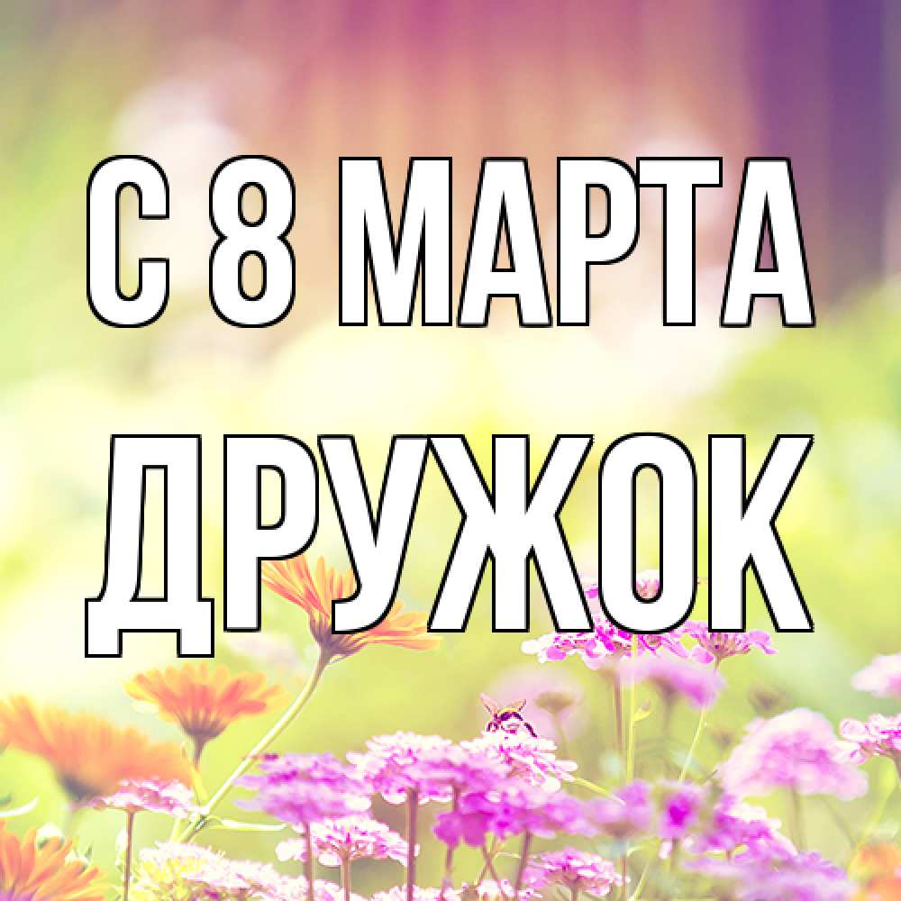 Открытка на каждый день с именем, Дружок C 8 МАРТА цветы весна Прикольная открытка с пожеланием онлайн скачать бесплатно 