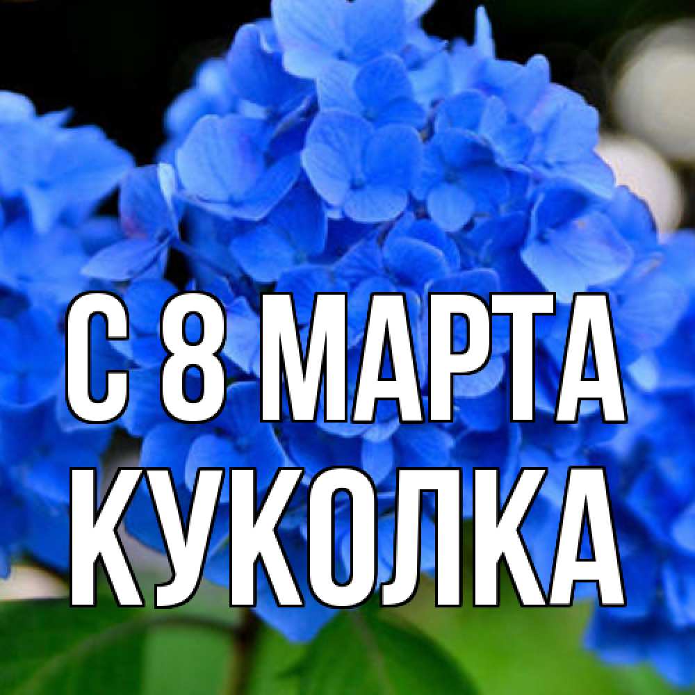 Открытка на каждый день с именем, Куколка C 8 МАРТА синие цветы Прикольная открытка с пожеланием онлайн скачать бесплатно 