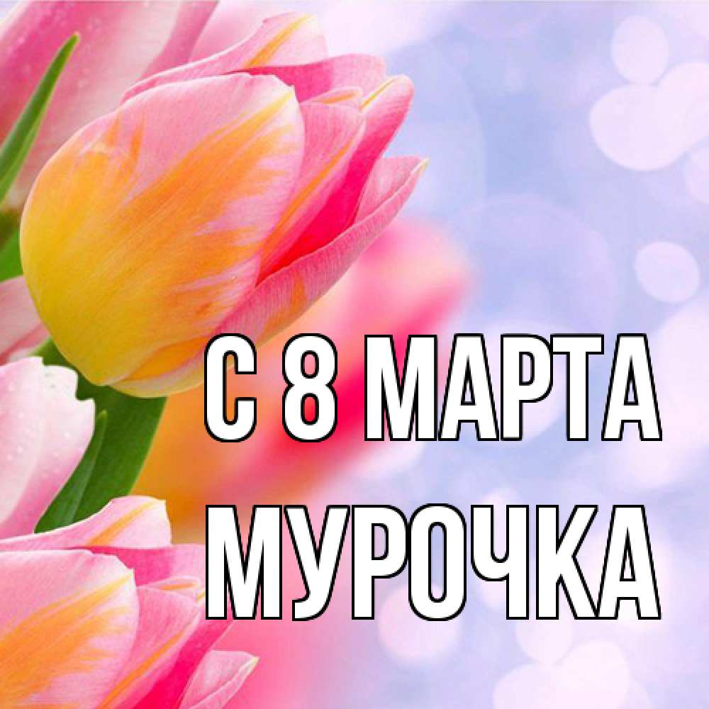Открытка на каждый день с именем, Мурочка C 8 МАРТА тюльпаны 2 Прикольная открытка с пожеланием онлайн скачать бесплатно 