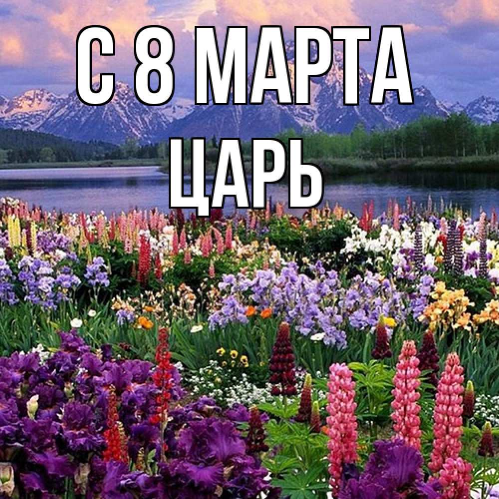 Открытка на каждый день с именем, Царь C 8 МАРТА международный женский день Прикольная открытка с пожеланием онлайн скачать бесплатно 