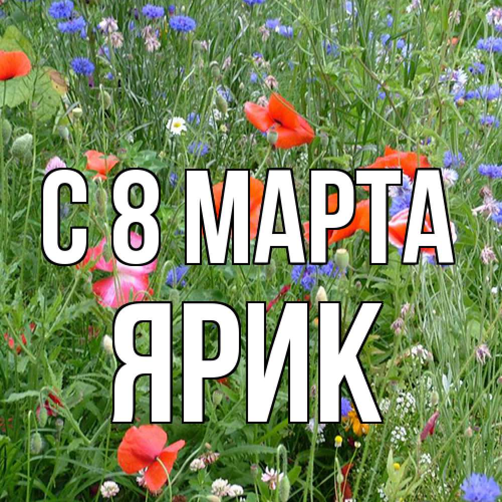 Открытка на каждый день с именем, Ярик C 8 МАРТА международный женский день 4 Прикольная открытка с пожеланием онлайн скачать бесплатно 