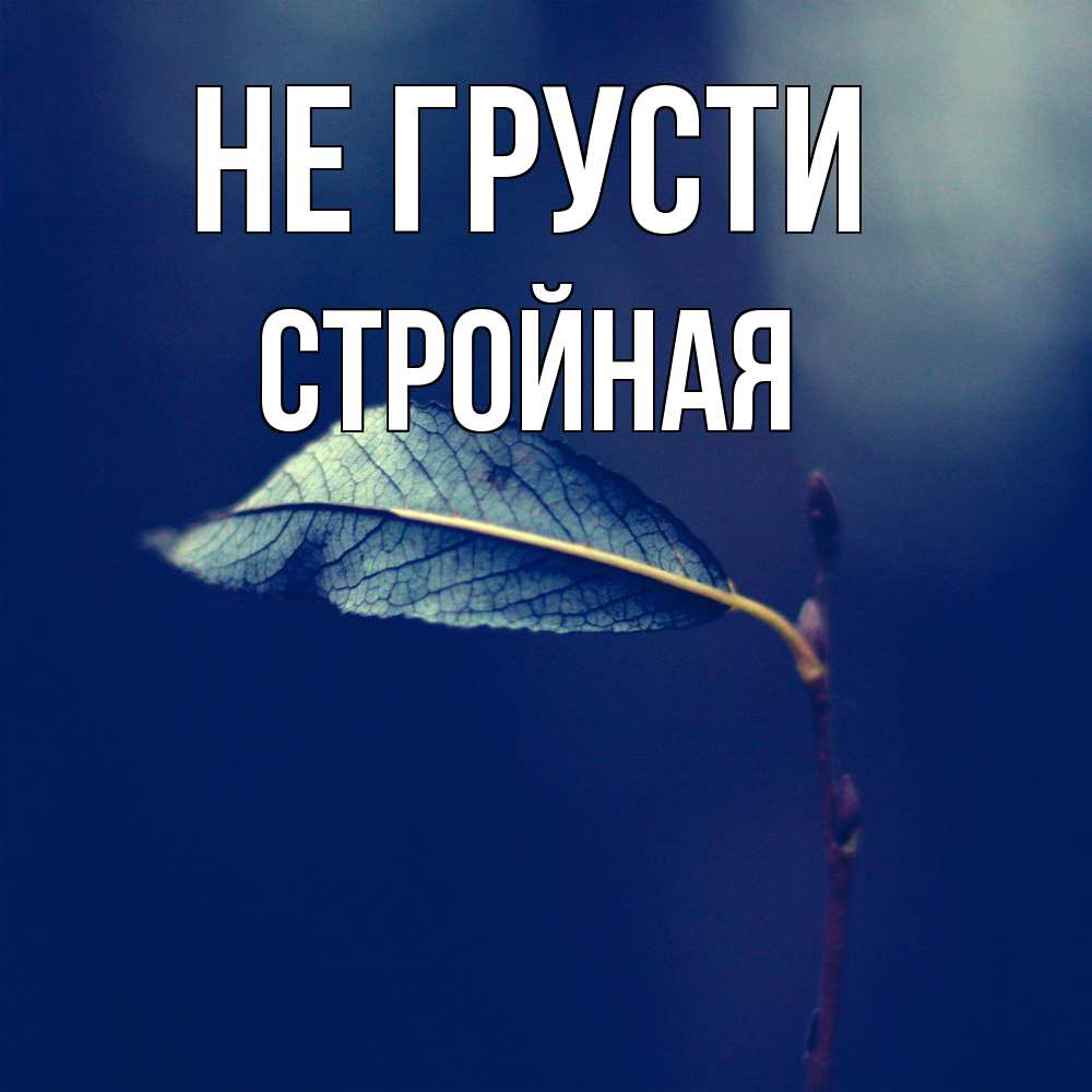 Открытка на каждый день с именем, Стpойная Не грусти растение Прикольная открытка с пожеланием онлайн скачать бесплатно 
