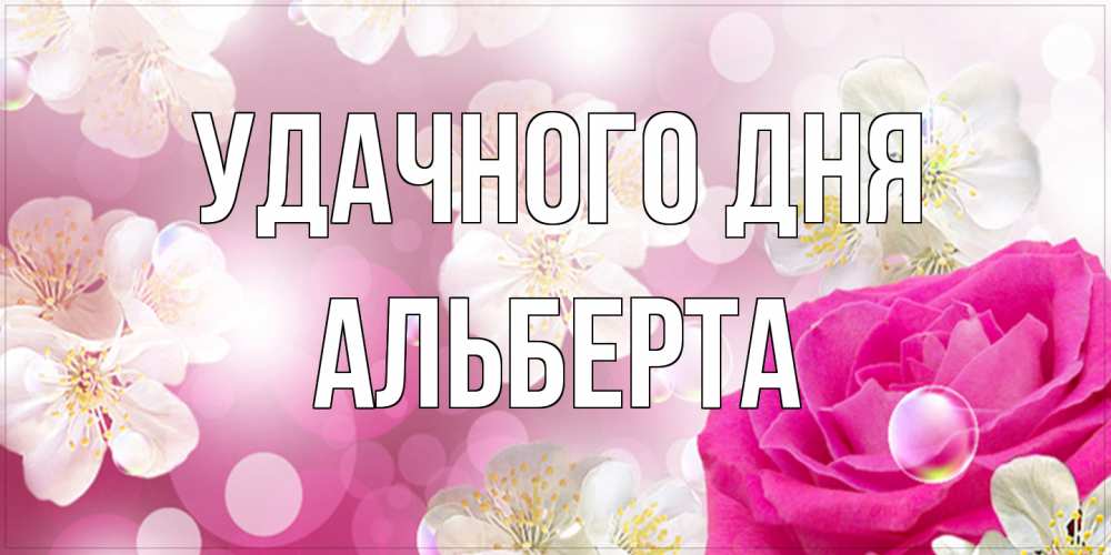Открытка на каждый день с именем, Альберта Удачного дня красивые цветы Прикольная открытка с пожеланием онлайн скачать бесплатно 