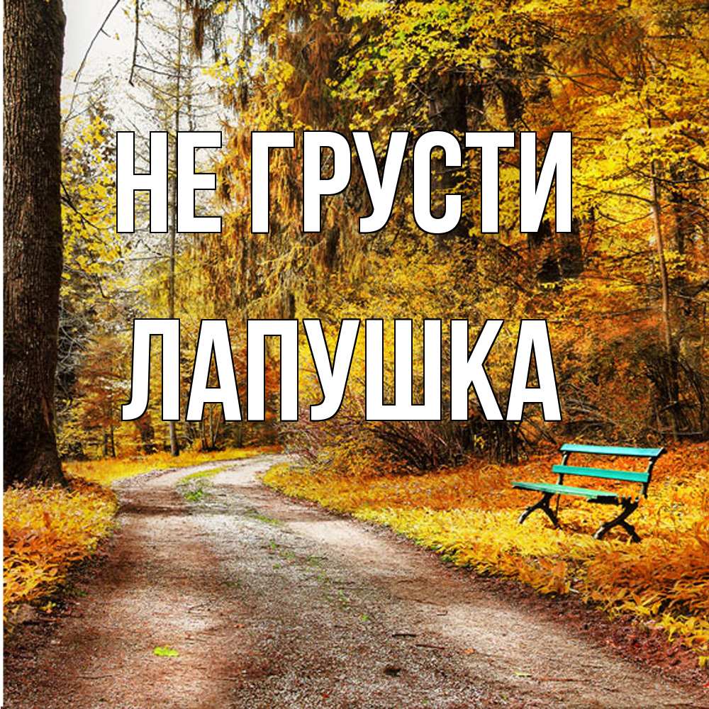 Открытка на каждый день с именем, лапушка Не грусти зеленая лавочка Прикольная открытка с пожеланием онлайн скачать бесплатно 