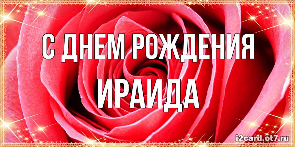 Открытка на каждый день с именем, Ираида С днем рождения розовая роза очень крупный бутон Прикольная открытка с пожеланием онлайн скачать бесплатно 