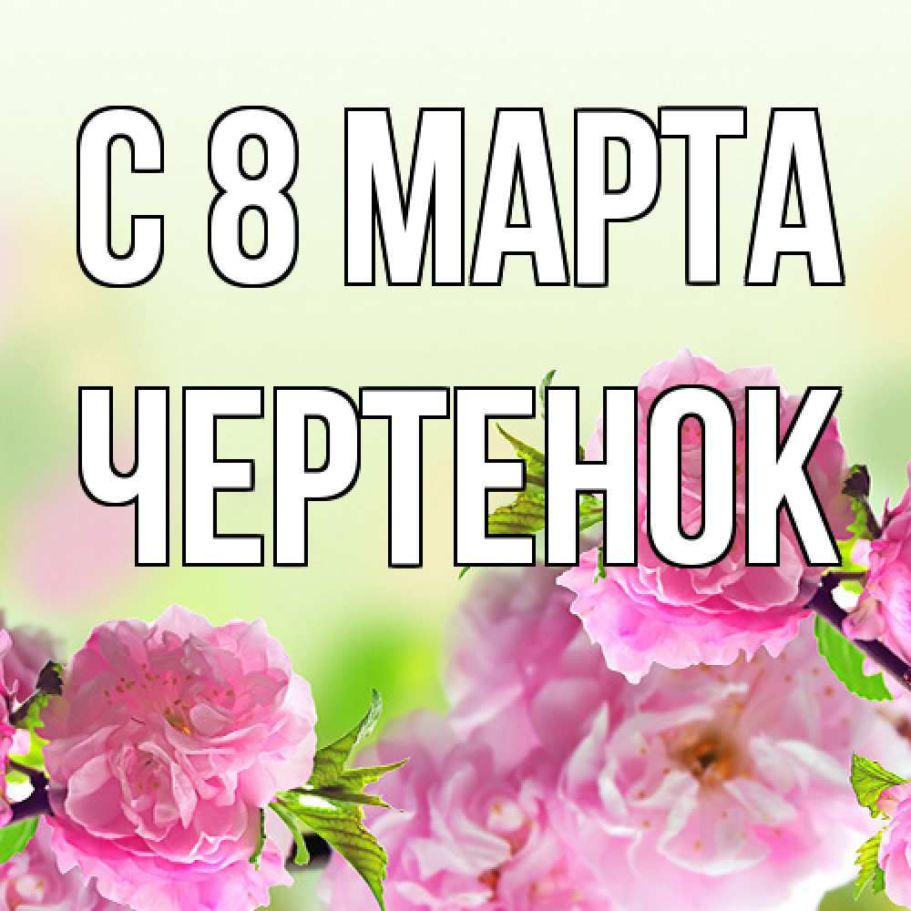 Открытка на каждый день с именем, чеpтенок C 8 МАРТА цветы Прикольная открытка с пожеланием онлайн скачать бесплатно 