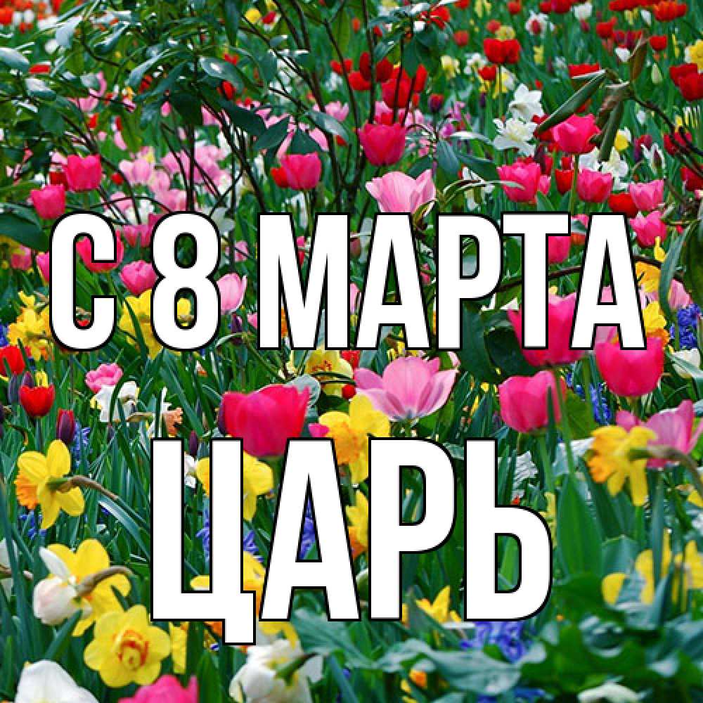 Открытка на каждый день с именем, Царь C 8 МАРТА с международным женским днем поздравления для женщины Прикольная открытка с пожеланием онлайн скачать бесплатно 