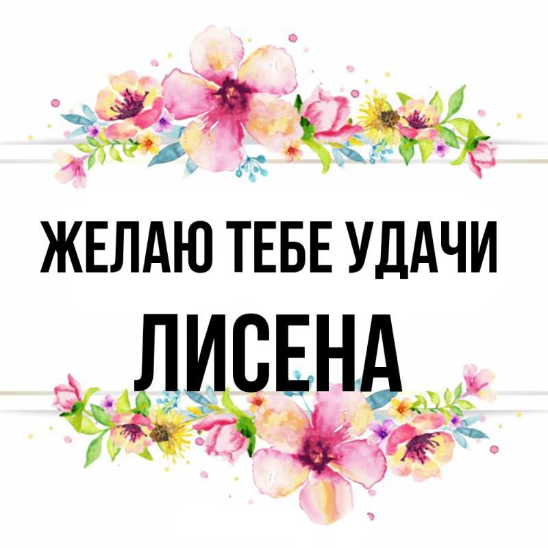 Картинка Желаю тебе удачи, Лисена