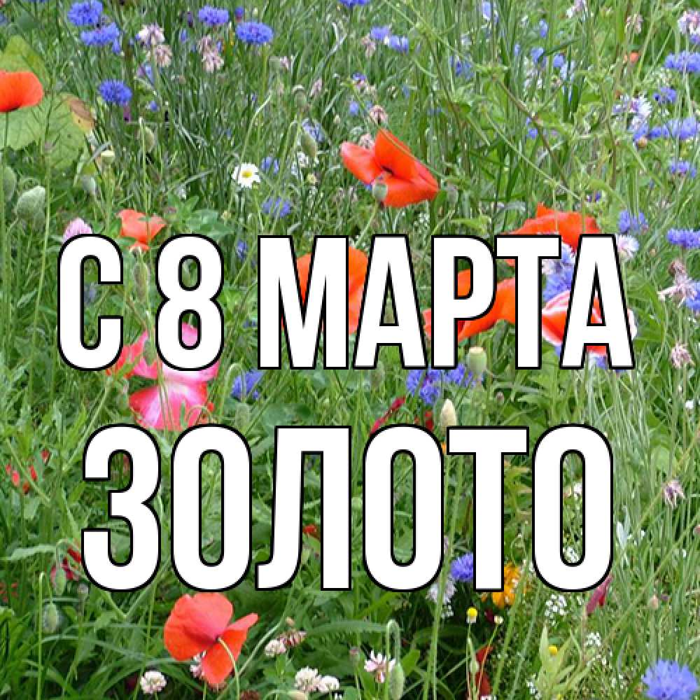 Открытка на каждый день с именем, Золото C 8 МАРТА международный женский день 4 Прикольная открытка с пожеланием онлайн скачать бесплатно 