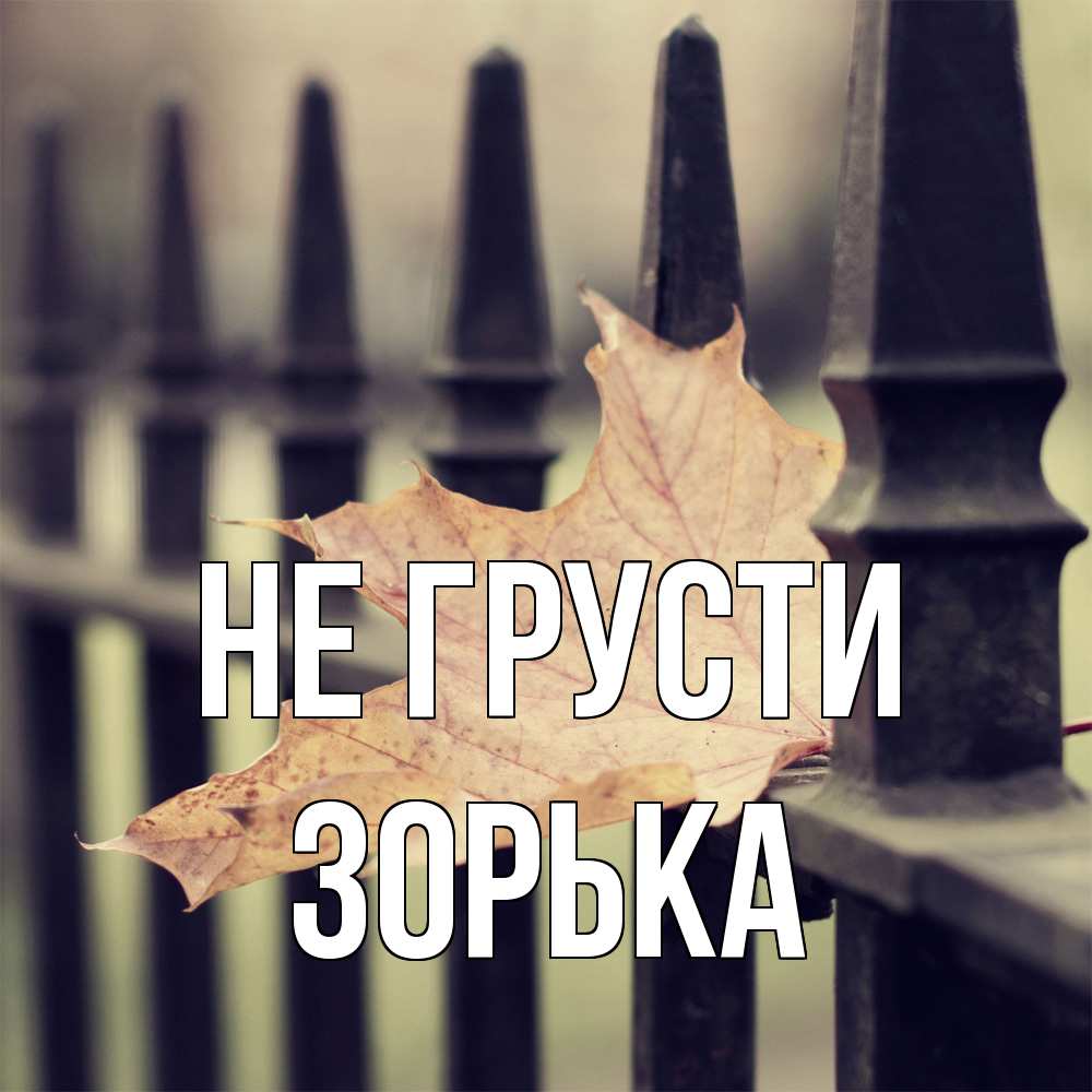 Открытка на каждый день с именем, Зоpька Не грусти лист клена Прикольная открытка с пожеланием онлайн скачать бесплатно 