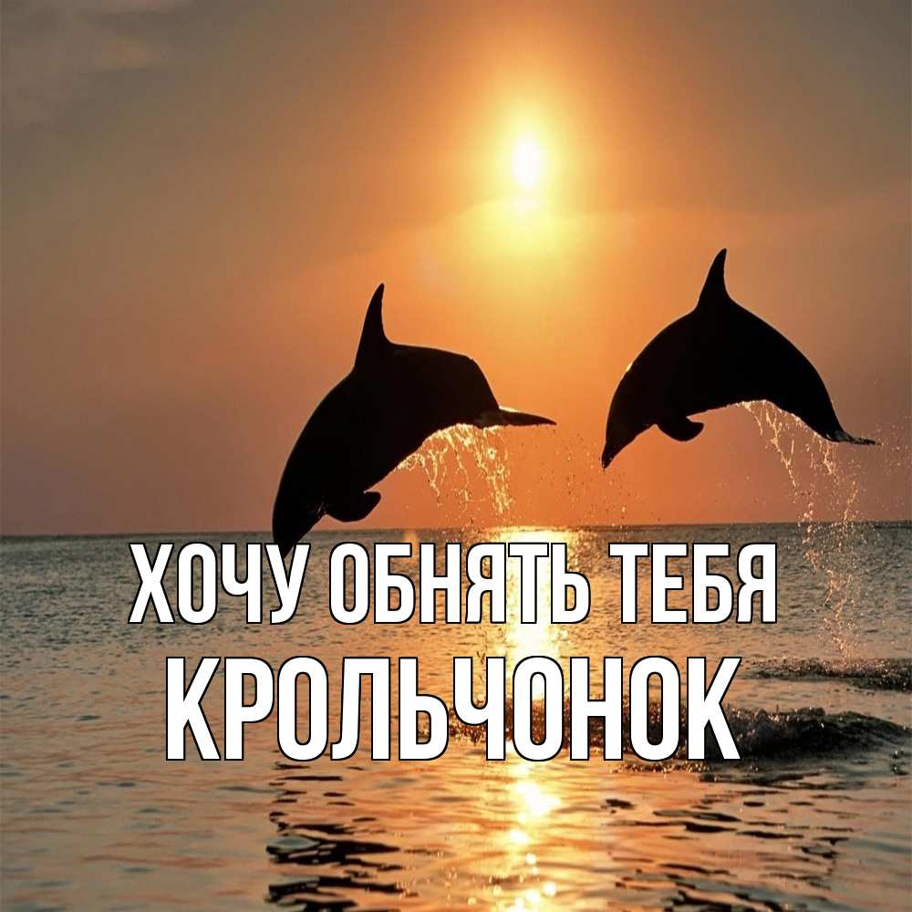 Открытка на каждый день с именем, Крольчонок Хочу обнять тебя рыбы на закате Прикольная открытка с пожеланием онлайн скачать бесплатно 