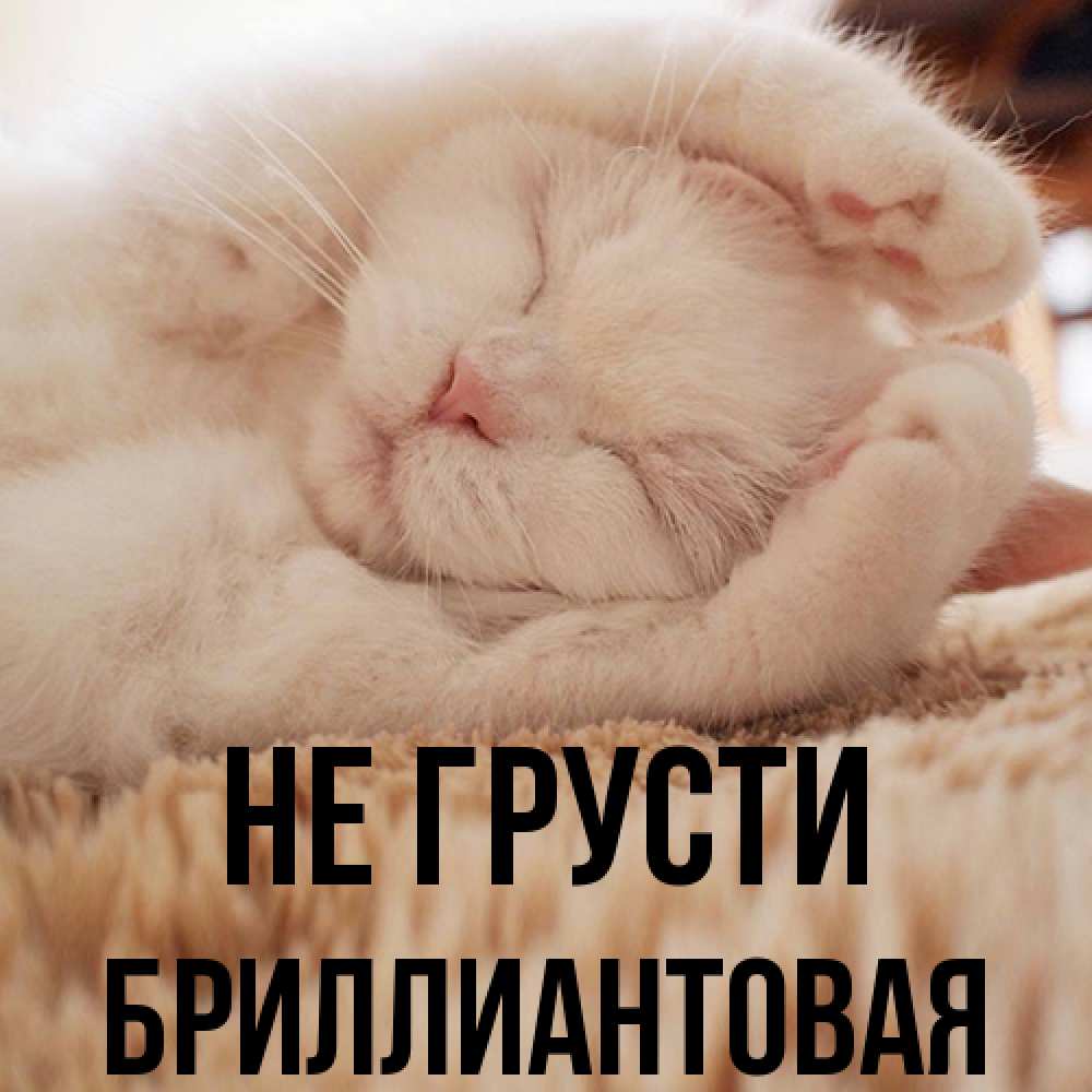 Открытка на каждый день с именем, Бpиллиантовая Не грусти Котенок спит Прикольная открытка с пожеланием онлайн скачать бесплатно 