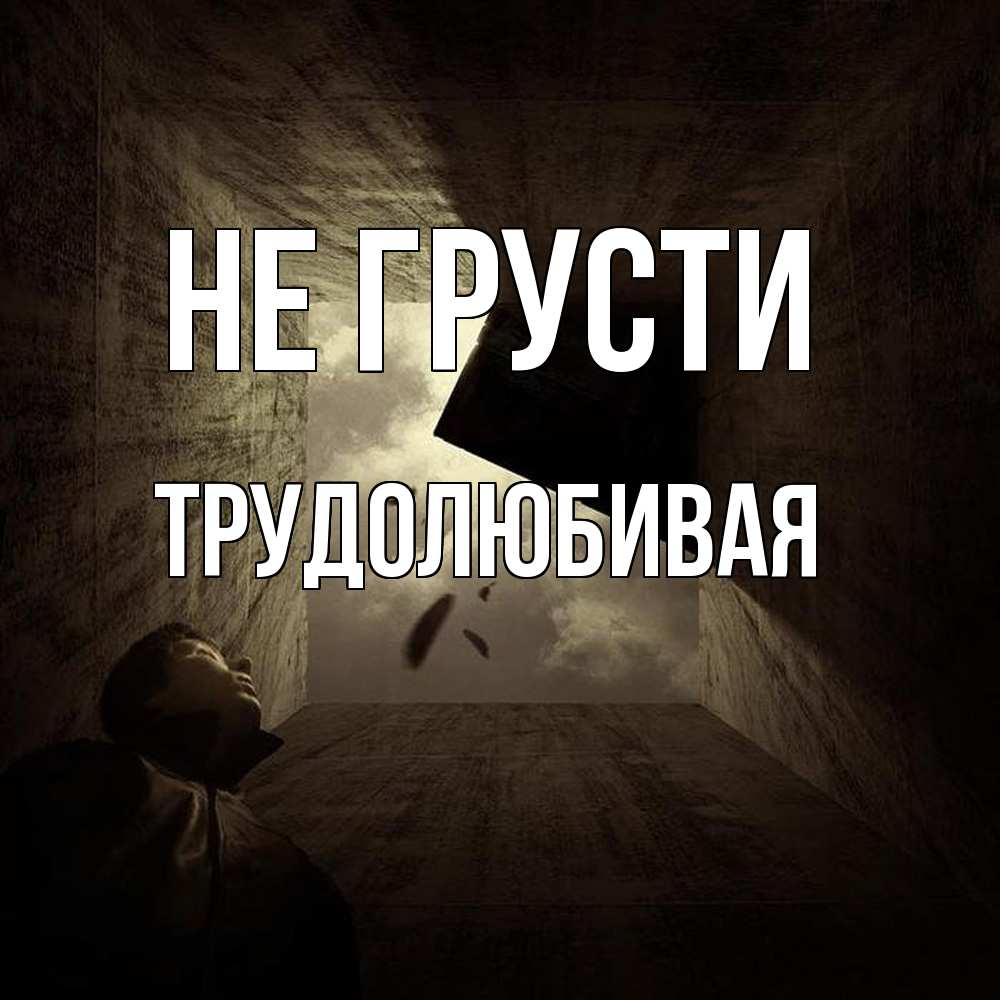 Открытка на каждый день с именем, Трудолюбивая Не грусти жуть Прикольная открытка с пожеланием онлайн скачать бесплатно 