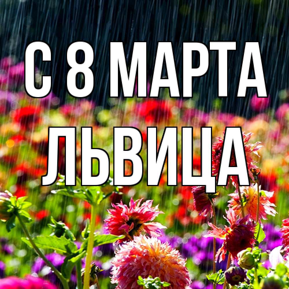 Открытка на каждый день с именем, Львица C 8 МАРТА цветы под дождиком к международному женскому дню Прикольная открытка с пожеланием онлайн скачать бесплатно 
