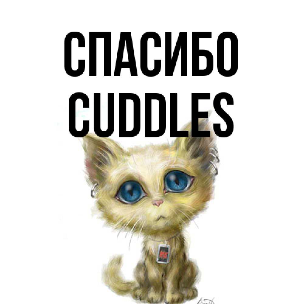 Открытка на каждый день с именем, Cuddles Спасибо рисованный кот благодарит вас Прикольная открытка с пожеланием онлайн скачать бесплатно 