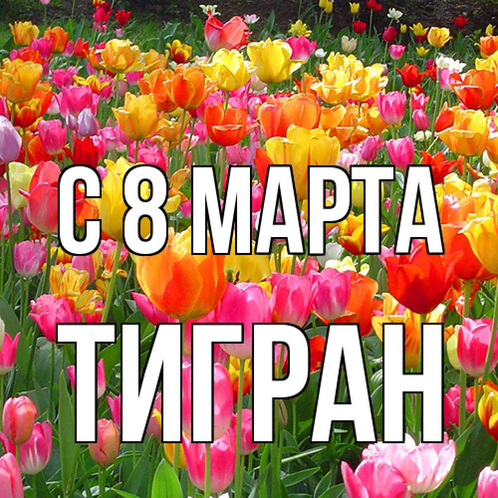 Открытка на каждый день с именем, Тигран C 8 МАРТА на международный женский день Прикольная открытка с пожеланием онлайн скачать бесплатно 