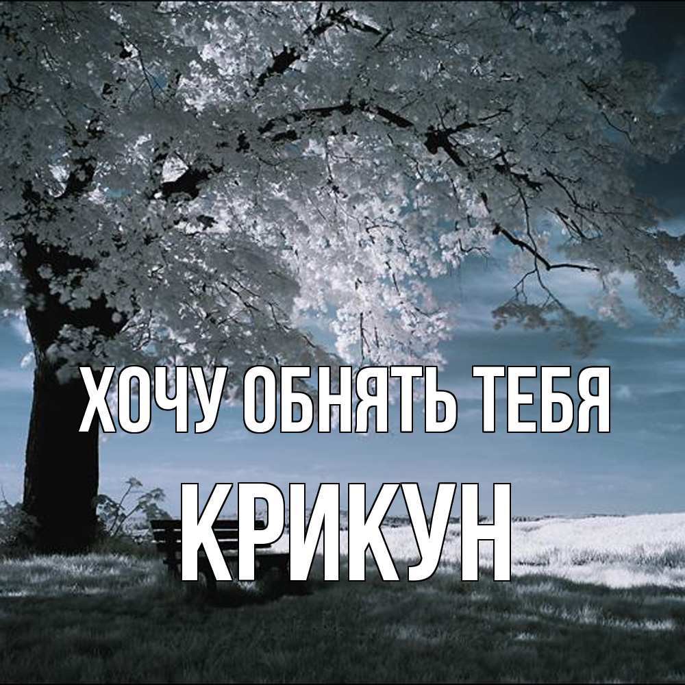 Открытка на каждый день с именем, Крикун Хочу обнять тебя дерево Прикольная открытка с пожеланием онлайн скачать бесплатно 
