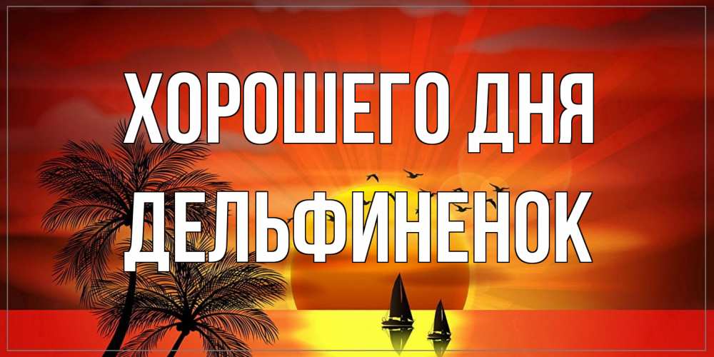 Открытка на каждый день с именем, дельфиненок Хорошего дня открытки с пожеланиями хорошего дня Прикольная открытка с пожеланием онлайн скачать бесплатно 