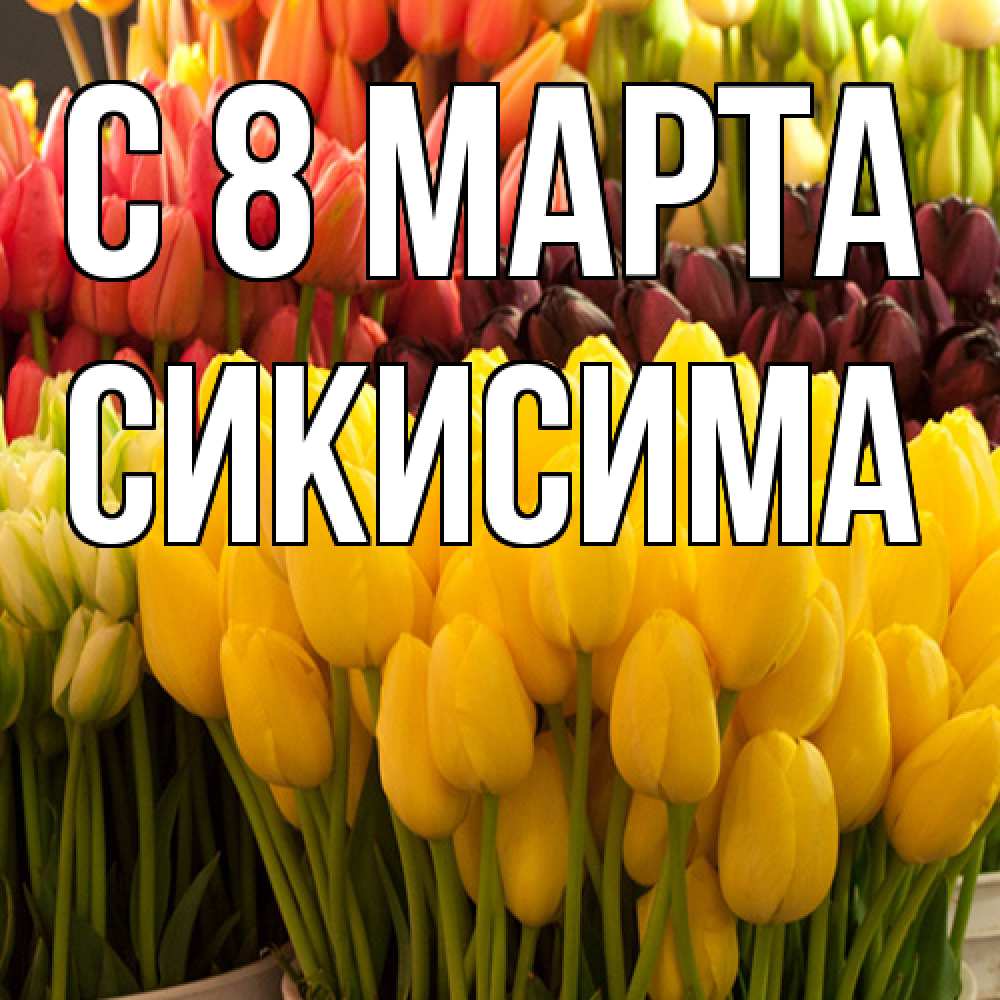 Открытка на каждый день с именем, Сикисима C 8 МАРТА цветы Прикольная открытка с пожеланием онлайн скачать бесплатно 
