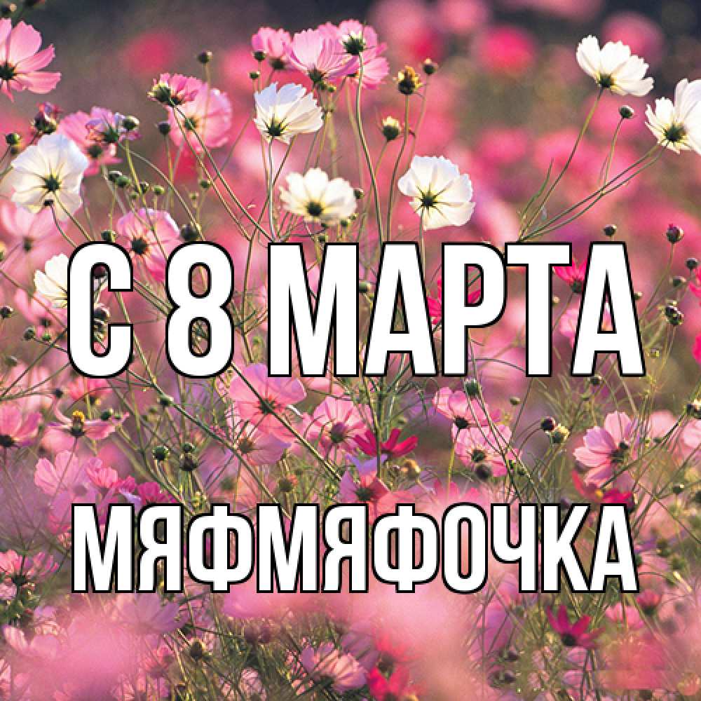 Открытка на каждый день с именем, мяфмяфочка C 8 МАРТА красиво 1 Прикольная открытка с пожеланием онлайн скачать бесплатно 