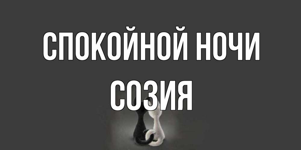 Открытка на каждый день с именем, Созия Спокойной ночи коты Прикольная открытка с пожеланием онлайн скачать бесплатно 