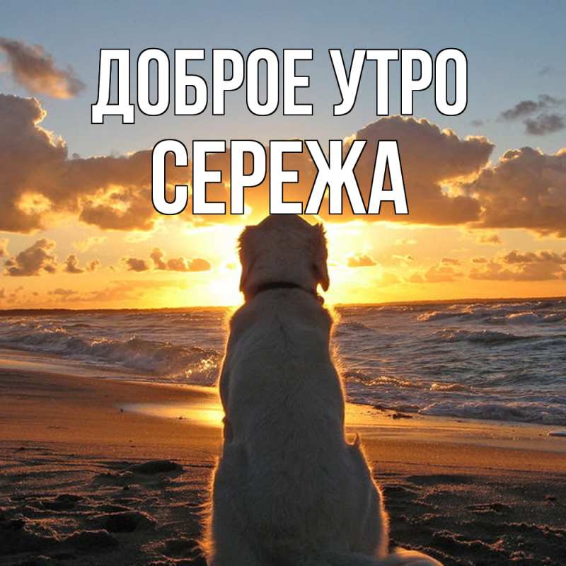 Картинка Доброе утро, Сережа