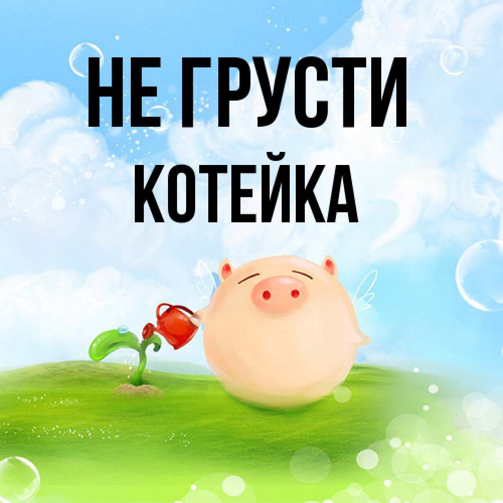 Открытка на каждый день с именем, Котейка Не грусти поливает цветок порося Прикольная открытка с пожеланием онлайн скачать бесплатно 